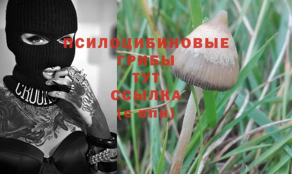 спайс Новодвинск