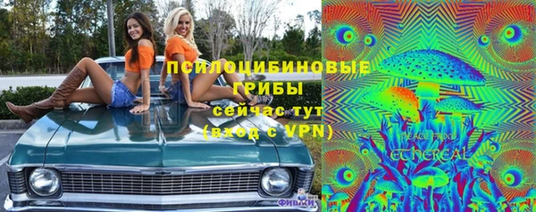 apvp Армянск
